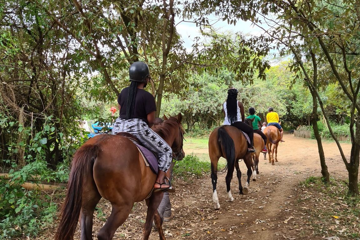 Horse Riding